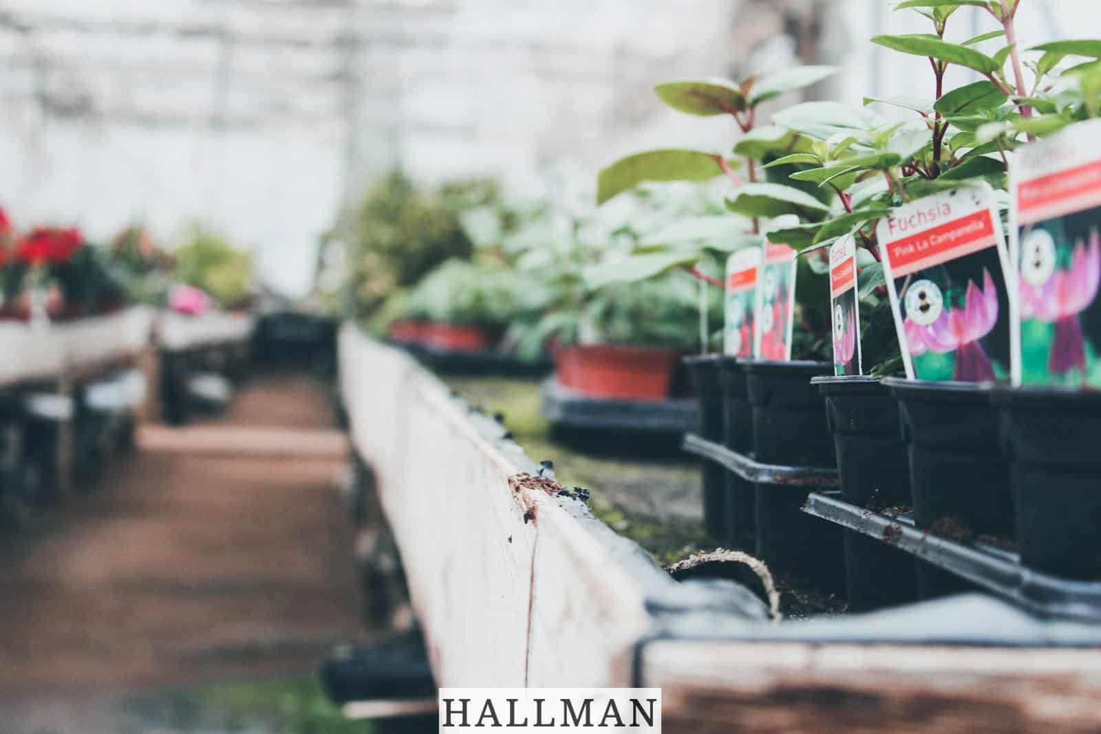 Herramientas y accesorios para un estilo de vida saludable
