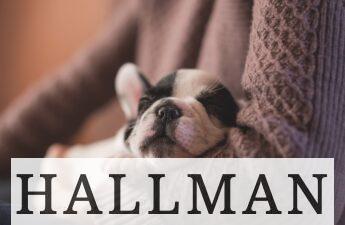 adoptar cachorro