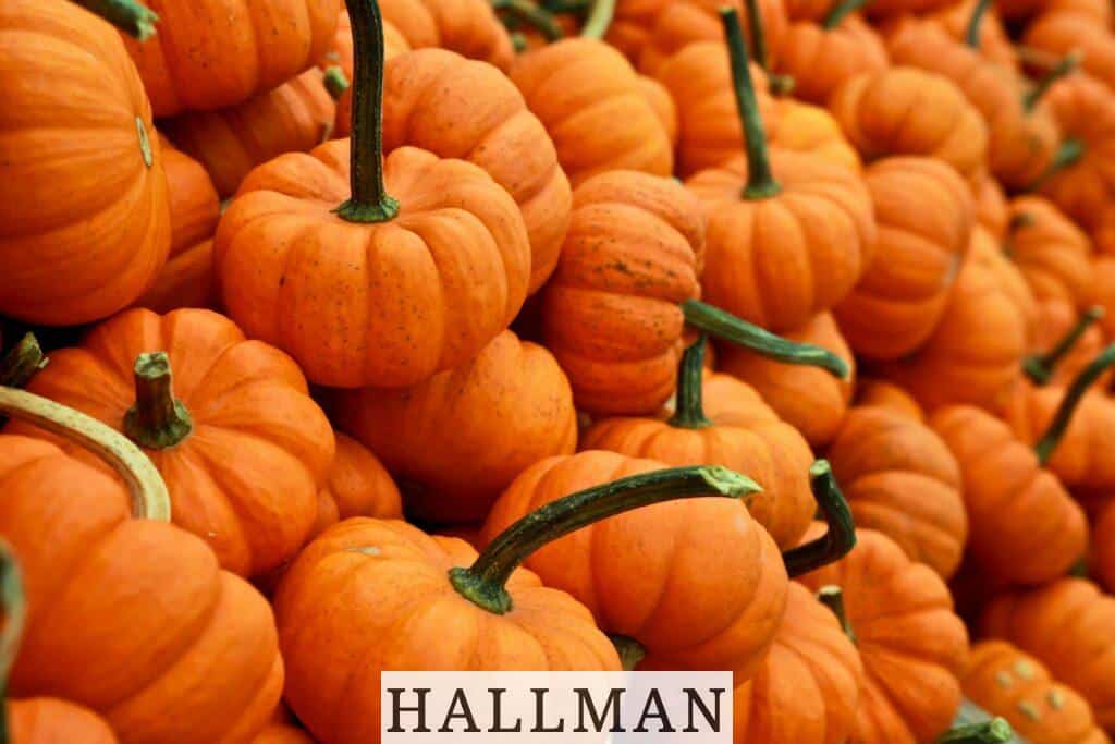 Recetas populares de otoño: Aprovecha los alimentos de esta temporada