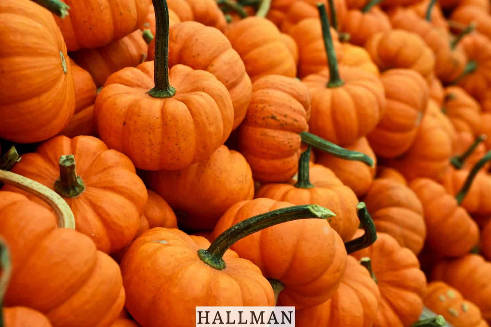 Recetas populares de otoño: Aprovecha los alimentos de esta temporada
