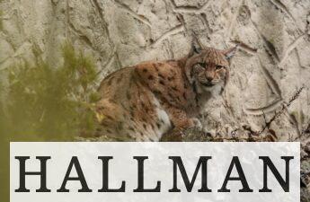 Los animales mas raros que existen en España