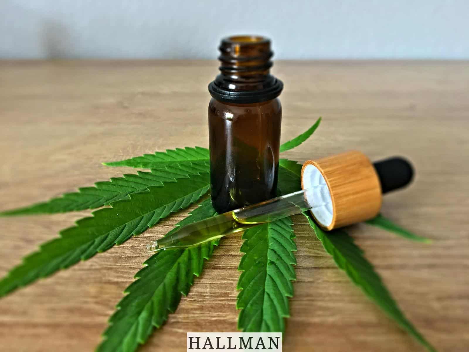 Auge CBD en España